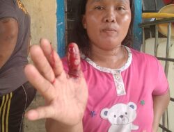 erasa kebal hukum oknum pimpinan perusahaan PT PALMA 1