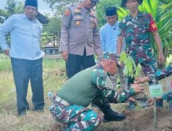 Danramil 016/Tapung bersama Kapolsek Tapung Hulu Hadiri Penanaman Sejuta Pohon Matoa