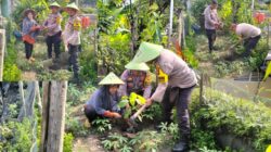 Program Kapolda Riau, Polsek Limapuluh dan Masyarakat Bersinergi Hijaukan Lingkungan Kurangi Polusi