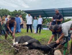 Momentum Idul Adha, Dandim 0303 Bengkalis sembelih hewan kurban