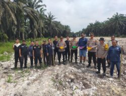 Polsek Kandis Tanam Jagung Kuartal III Dukung Program Ketahanan Pangan Nasional