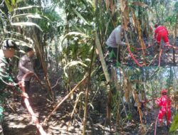 Kebakaran Lahan di Pekanbaru berhasil dipadamkan, Petugas Gabungan dan Masyarakat Bersinergi