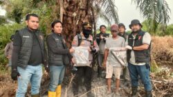 Lahan Terbakar, Akibat Puntung Rokok, Polsek Bangko Tangkap Pelaku
