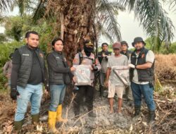 Lahan Terbakar, Akibat Puntung Rokok, Polsek Bangko Tangkap Pelaku