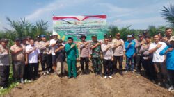 Kapolsek Kandis Bersama Upika Tanam Jagung 10 Hektar, Dukung Program Ketahanan Pangan Nasional