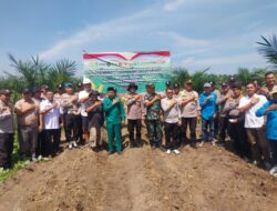 Kapolsek Kandis Bersama Upika Tanam Jagung 10 Hektar, Dukung Program Ketahanan Pangan Nasional