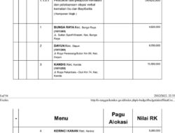 SETELAH VIRAL PUSKESMAS KANDIS DITEMUKAN DIDUGA DANA BOK DIMINTA BPK MENGUSUTNYA