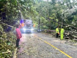 Gerak Cepat Tim Tanggap Bencana Polres Pesisir Barat Evakuasi Pohon Tumbang