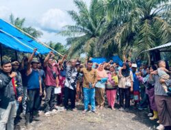 Dituding Abaikan Penyitaan Negara, PT SIS Disorot; Masyarakat Adat Sakai Minta Ketegasan PT Agrinas