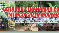 GERAKAN MENANAM POHON: PTPN IV Regional I KSO Julok Rayeuk Selatan Wujudkan Lingkungan Lestari