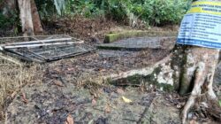 Rehab Berulang di Arboretum Rio Alif: Warga Sindir Pemkab Merangin ‘Ahli Menghabiskan Anggaran’