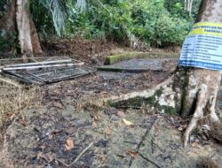 Rehab Berulang di Arboretum Rio Alif: Warga Sindir Pemkab Merangin ‘Ahli Menghabiskan Anggaran’