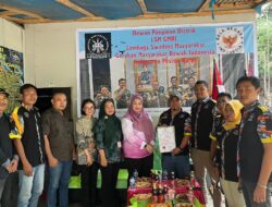 GMBI Pesisir Barat Terima SKK, Siap Sinergi Dengan Pemkab Demi Kesejahteraan Masyarakat