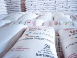 Pengawasan Dipertanyakan, Dugaan Penyimpangan Pupuk Bersubsidi di Ngargosari Menguat Tanpa Tindakan