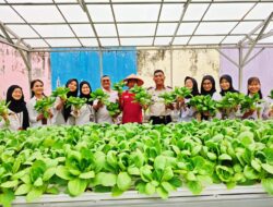 Lapas Pekanbaru Panen Sayur Pak Coy, Wujud Nyata Dukung Ketahanan Pangan Nasional dan 15 Program Aksi Kemenimipas 2026