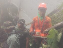 Tim SAR Gabungan Temukan Black Box Pesawat pada Hari Kelima Operasi SAR