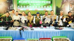Polda Riau Tangkap Sindikat Pembunuh Gajah Tanpa Kepala di Pelalawan