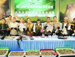 Polda Riau Tangkap Sindikat Pembunuh Gajah Tanpa Kepala di Pelalawan