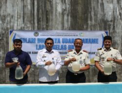 Tabur Benih Udang, Wujudkan Ketahanan Pangan Berkelanjutan