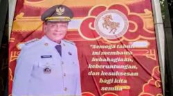 Berikut Klarifikasi Diskominfo Rohil Terkait Terkait Baliho Cap Go Meh Tanpa Foto Wakil Bupati