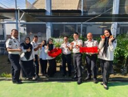 Lapas Kelas IIA Banda Aceh Berhasil Panen Tomat Secara Perdana Capai Belasan Kilo Hasil Kemandirian WBP