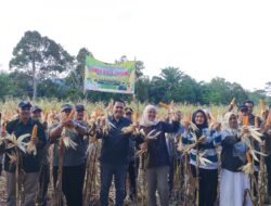 Panen Lagi, Visi Besar Bupati M. Syukur Perkuat Ketahanan Pangan, Dinas Pertanian Harus Menjadi Contoh