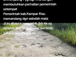Di minta kepada Bapak Bupati Kampar lihat jalan kami pak,Di Duga Kades Kubang jaya terindikasi dugaan pengalihan perbaikan jalan di tropong