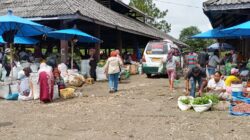 Pasar Komoditi Sitinjo Diharapkan Jadi Penggerak Ekonomi Petani Dairi dan Wilayah Perbatasan