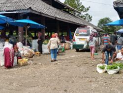 Pasar Komoditi Sitinjo Diharapkan Jadi Penggerak Ekonomi Petani Dairi dan Wilayah Perbatasan