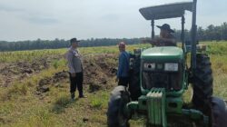 Polsek Kandis Genjot Ketahanan Pangan, 15 Hektar Lahan Jagung Siap Digarap