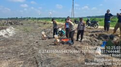 Dukung Swasembada Pangan 2026, Empat Personel Polsek Siak Hulu Cek Penanaman Jagung Kuartal II di Lahan KOPPSA-M