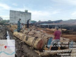Operasi Gabungan Kemenhut di Sumatera Utara, Tertibkan 5 Sawmill, Ribuan Kayu Bulat Tanpa Legalitas Ditemukan