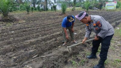 POLSEK KUNTO DARUSSALAM DUKUNG PROGRAM SWASEMBADA PANGAN MELALUI PENANAMAN JAGUNG PIPIL