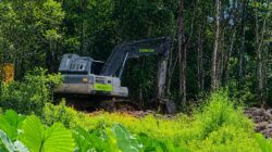 Aktivitas PETI Diduga Milik Aditya dan Kuci Beroperasi Dekat Mapolsek Sungai Manau, Warga Soroti Ketegasan Aparat