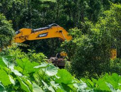 Diduga Milik Zul, Aktivitas PETI di Kampung Tengah Sungai Manau Kian Meresahkan, Aparat Diminta Jangan Tutup Mata