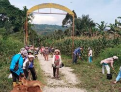 Jatagena Pegagan Hilir Bergerak, Warga Simanduma Gotong Royong Perbaiki Jalan demi Infrastruktur yang Lebih Baik