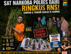 Sat Narkoba Polres Dairi Ringkus RNS Usai Simpan dan Tanam Ganja di Sumbul