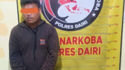 Polres Dairi Kembali Ringkus Terduga Pengedar Sabu dan Ganja di Tanjung Beringin