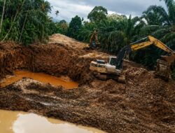 Di Dekat Kantor Polsek Tabir Ulu, Tambang Emas Ilegal Milik Fazri Beroperasi Bebas: Warga Curiga Ada Permainan Aparat