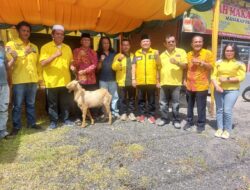 DPD Partai Golkar Dairi Serahkan Hewan Kurban, Sabam Sibarani Angkat Keteladanan Nabi Ibrahim dan Ismail