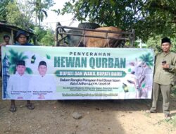 Bupati dan Wakil Bupati Dairi Serahkan Hewan Kurban untuk Jemaah Masjid Al-Ikhlas Alur Subur