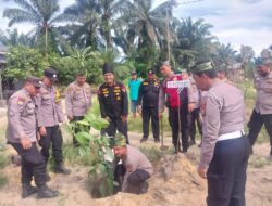Polsek Kandis Gelar Penanaman 100 Pohon di Telaga Sam Sam, Wujud Dukungan Penghijauan dan Lingkungan Hijau di Kabupaten Siak