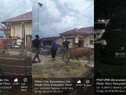 Kasus Dugaan Pencurian Sapi Belum Tuntas, Masyarakat Pertanyakan Status Barang Bukti di Polsek Lurasik