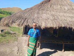 Kondisi Memprihatinkan Rumah Janda Miskin di Sumba Timur, Delila Bomba Hutar Harapkan Perhatian Pemerintah