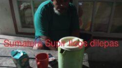 Penangkapan Truk Pengangkut Kayu Olahan di Bunut Jadi Pertanyaan Publik Dugaan Kejanggalan Dalam Proses Hukum Kasus Ilegal Logging