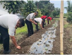 Wujudkan Ketahanan Pangan, Rutan Sidikalang Manfaatkan Lahan SAE untuk Budidaya Bawang Merah