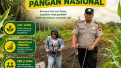 Langkah Nyata Polri untuk Negeri, Polsek Kandis Mulai Penanaman Jagung di Lahan 15 Hektare