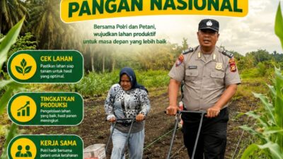 Langkah Nyata Polri untuk Negeri, Polsek Kandis Mulai Penanaman Jagung di Lahan 15 Hektare