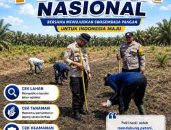 Dari Kandis untuk Indonesia: Polsek Kandis Tancap Gas Garap 15 Hektare Jagung Demi Ketahanan Pangan Nasional