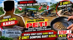 Kades Lubuk Napal Kardi Diduga Kuat Miliki Dua Dompeng Rakit PETI di Tanjung Ilir